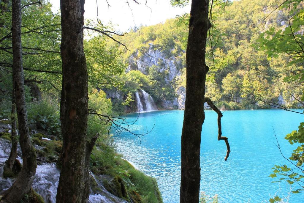 Villa Diana Tribalj Dış mekan fotoğraf